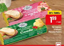 Polomarket Ser topiony kremowy Gouda Mleczna Polana oferta
