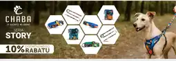 ARA Chaba Seria Story oferta