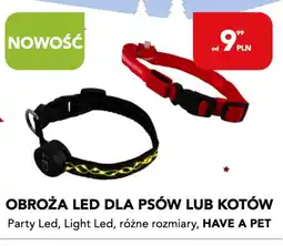 AquaelZOO HAVE A PET Obroża LED oferta