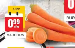 Bingo Marchew oferta