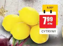 Bingo Cytryny oferta