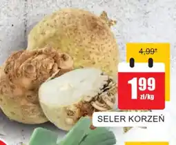 Bingo Seler korzeń oferta