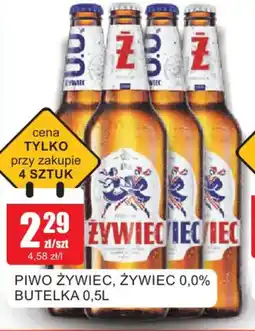 Bingo Piwo Zywiec oferta