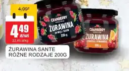 Bingo Zurawina Sante oferta