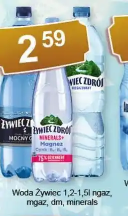 Eden Zywiec Zdrój Woda oferta