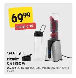 Jula Blender Bright 0,6 l 350 W oferta