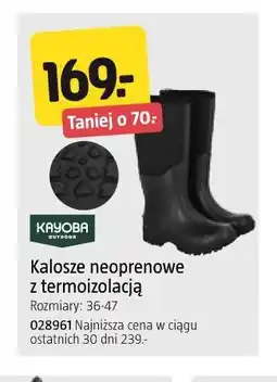 Jula Kalosze neoprenowe z termooizolacją oferta