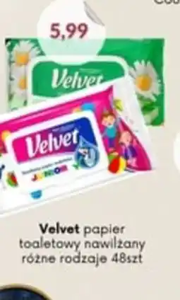 Astor Velvet papier toaletowy nawilżany oferta