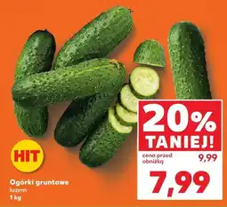Kaufland Ogórki gruntowe luzem oferta