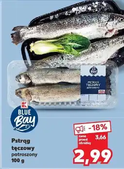 Kaufland Pstrąg tęczowy patroszony oferta