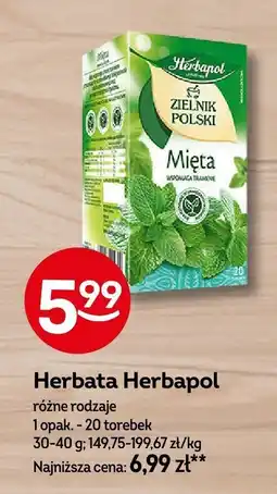 Żabka Herbata Herbapol Zielnik Polski Mięta oferta