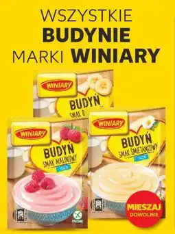Kaufland Wszystkie budynie marki Winiary oferta