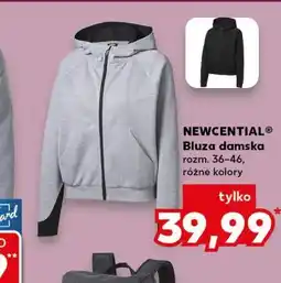 Kaufland NEWCENTIAL Bluza damska oferta