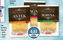 DUO-TES Ceko Ser Plastry Polmlek oferta