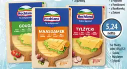 DUO-TES Ser Plastry żółte Hochland oferta