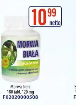 AT Morwa biała oferta