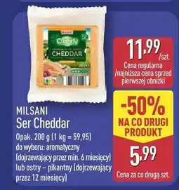 ALDI Ser pleśniowy francuski z popiołem oferta