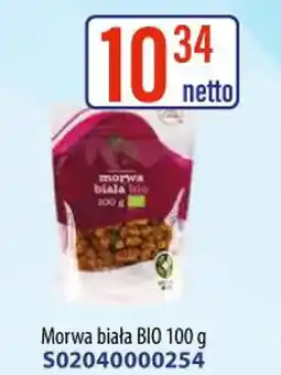 AT Morwa biała BIO oferta