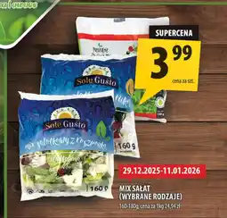 Arhelan Mix sałat Gusto oferta