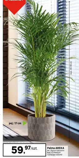 Leroy Merlin Palma oferta