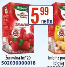 AT Herbapol Zurawina fix oferta