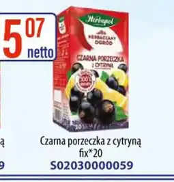 AT Herbapol Czarna porzeczka z cytryną oferta
