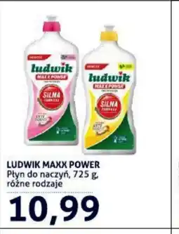 Blue Stop Ludwik Maxx Power płyn do naczyń oferta
