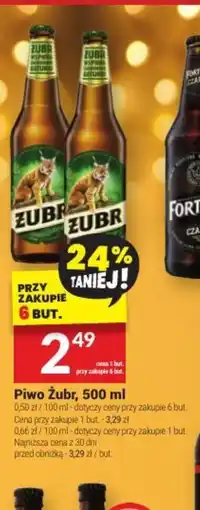 Twój Market Piwo Zubr oferta