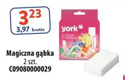 AT York Magiczna gąbka oferta
