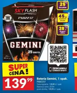 Twój Market Sky Flash Bateria Gemini oferta