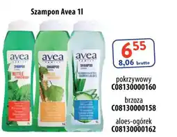 AT Avea Szampon oferta