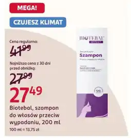 Rossmann Biotebal, szampon do włosów przeciw wypadaniu oferta