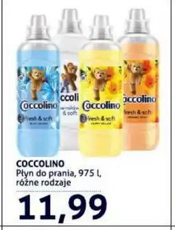 Blue Stop Coccolino Płyn do prania oferta