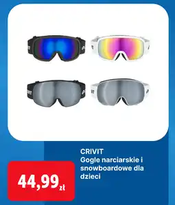Lidl CRIVIT Gogle narciarskie i snowboardowe dla dzieci oferta