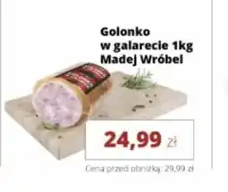 Torimpex Madej Wróbel Golonko w galarecie oferta