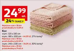 Auchan Koc 240 x 220 cm oferta