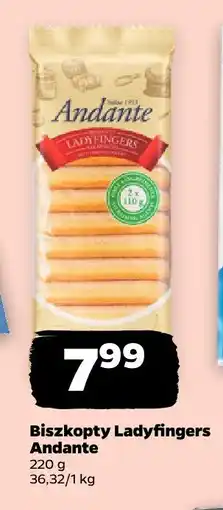 Netto Biszkopty Ladyfingers Andante oferta