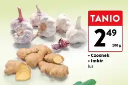 Intermarche Imbir oferta