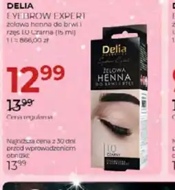 Jawa Drogerie Delia Eyebrow Expert Żelowa henna oferta