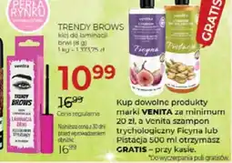 Jawa Drogerie Venita Trendy Brows klej oferta