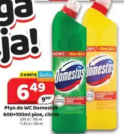 Delfin Domestos PŁyn do WC oferta