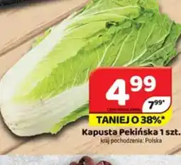 Delfin Kapusta PekiŃska oferta