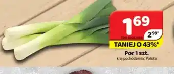 Delfin Por oferta