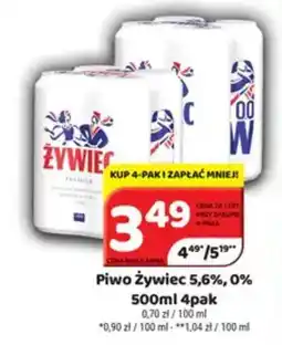 Delfin Piwo Zywiec 5,6%, 0% oferta