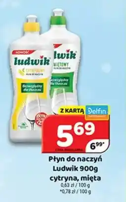 Delfin Ludwik PŁyn do naczyŃ oferta