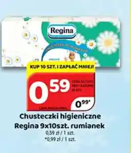 Delfin Regina chusteczki higieniczne oferta
