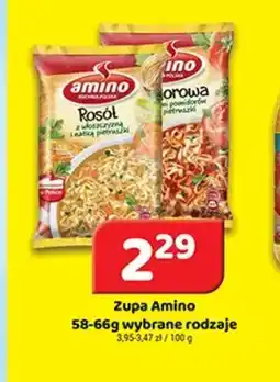 Delfin Zupa Amino oferta