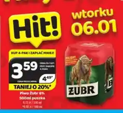 Delfin Piwo Zubr oferta