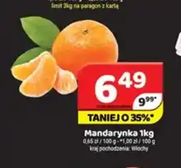 Delfin Mandarynka oferta