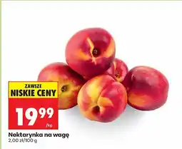 Biedronka Nektarynka na wagę oferta